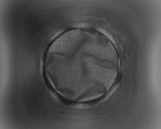 X0000086760109200705111723
