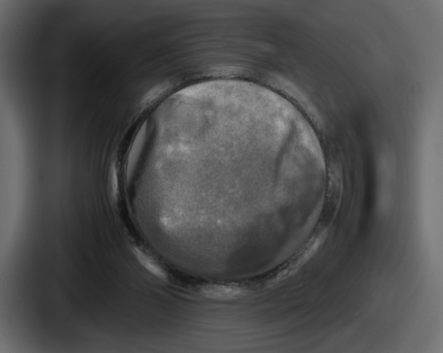 X0000086760110200705111723