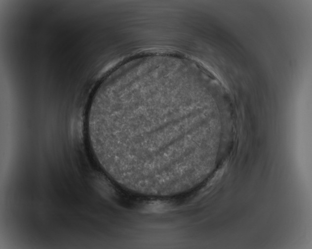 X0000086760111200705111723