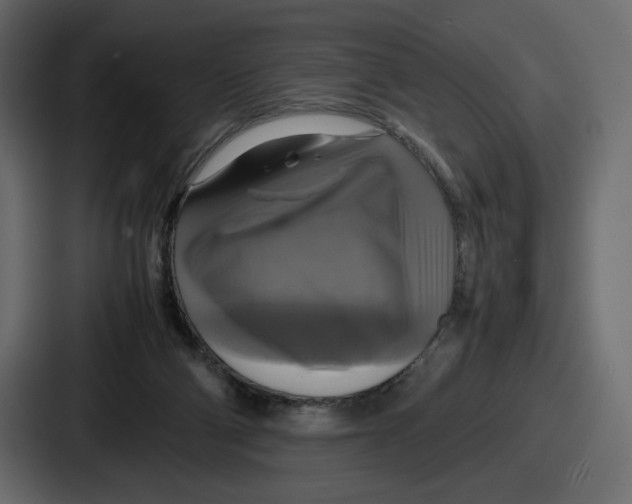 X0000086760114200705111723