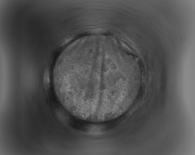 X0000086760115200705111723