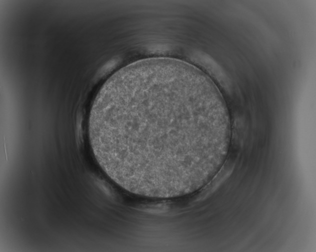X0000086760116200705111723