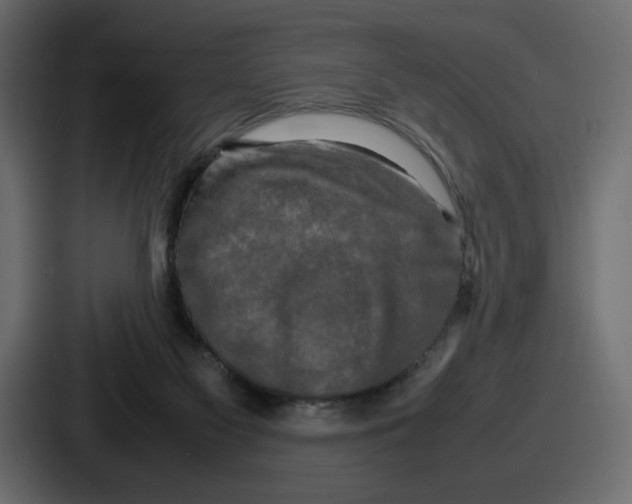 X0000086760117200705111723