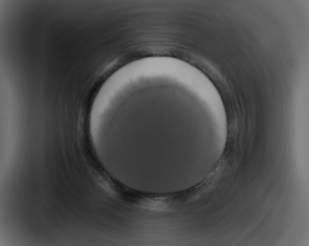 X0000086760120200705111723