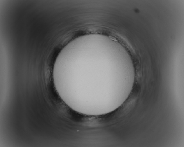 X0000086760121200705111723