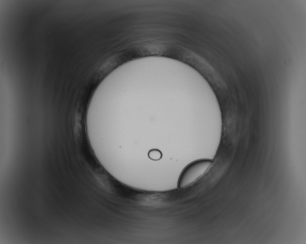 X0000086760122200705111723