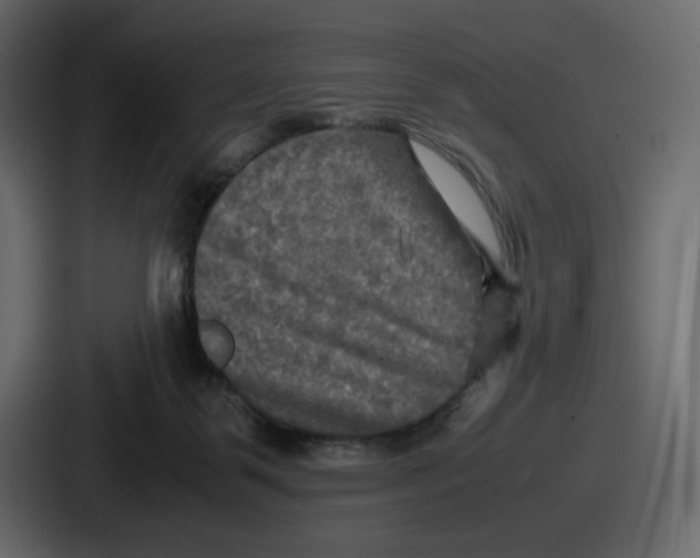 X0000086760123200705111723