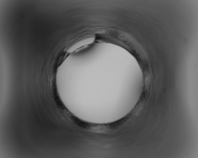 X0000086760125200705111723