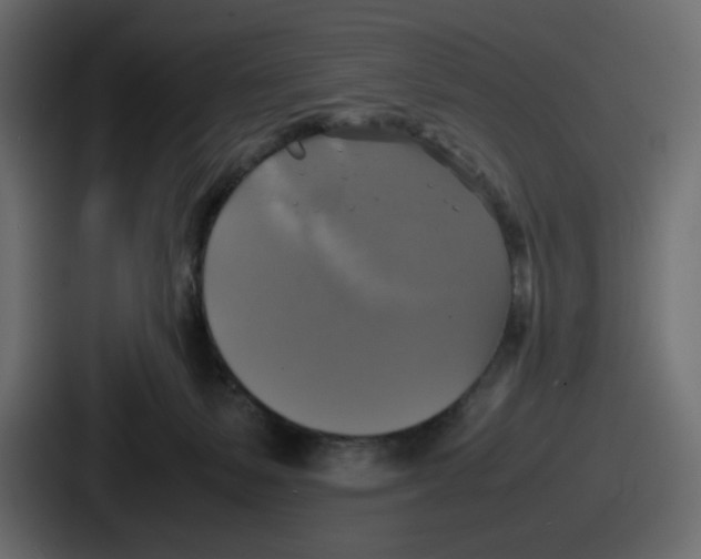 X0000086760127200705111723