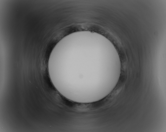 X0000086760129200705111723