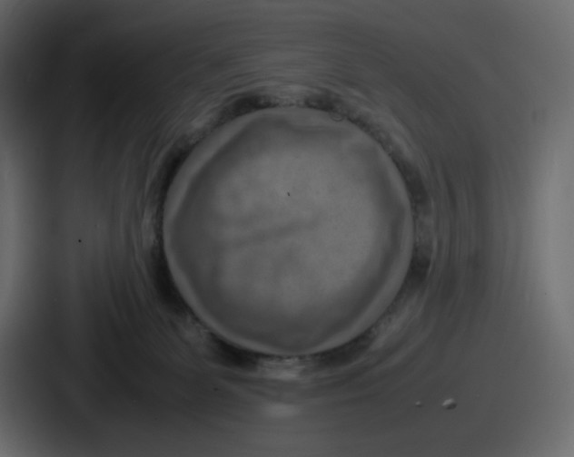 X0000086760131200705111723