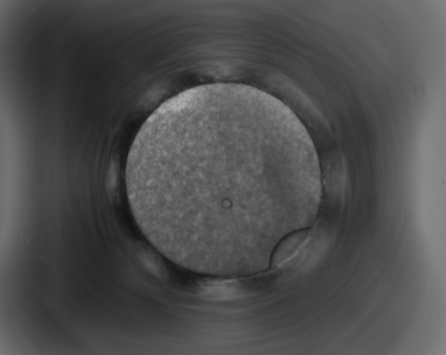 X0000086760132200705111723