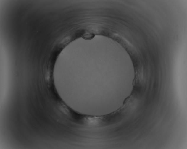 X0000086760134200705111723