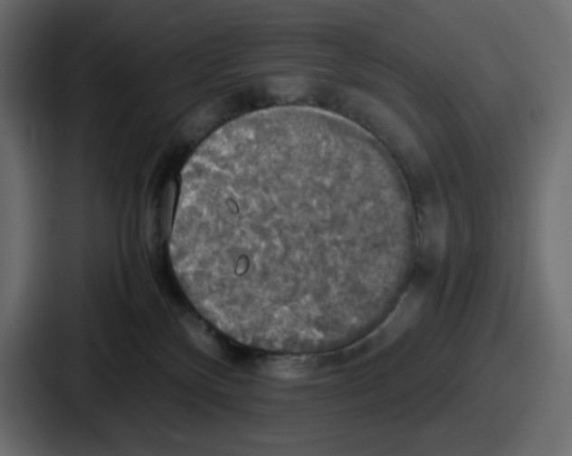 X0000086760136200705111723