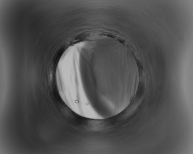 X0000086760139200705111723