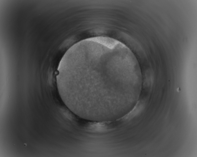 X0000086760140200705111723