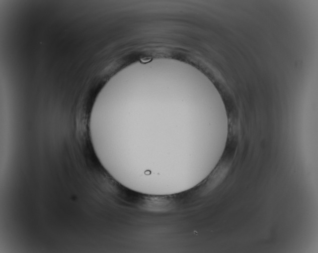 X0000086760141200705111722