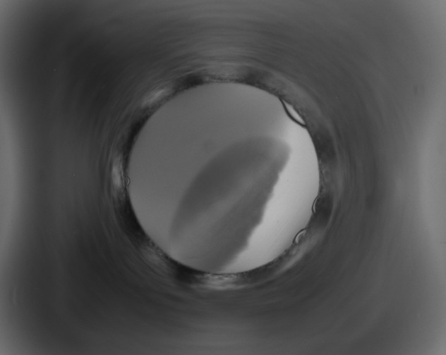 X0000086760143200705111722