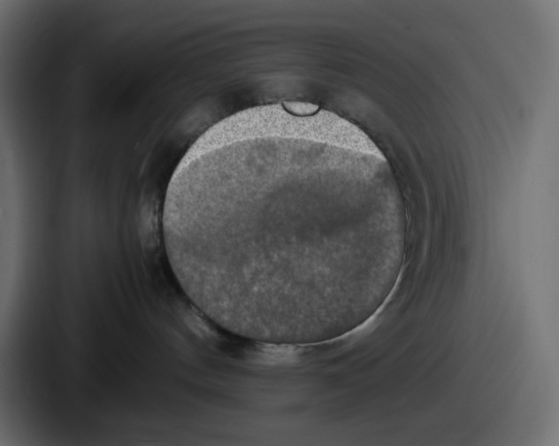 X0000086760144200705111722