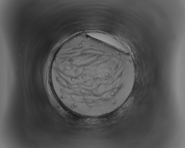 X0000086760145200705111722