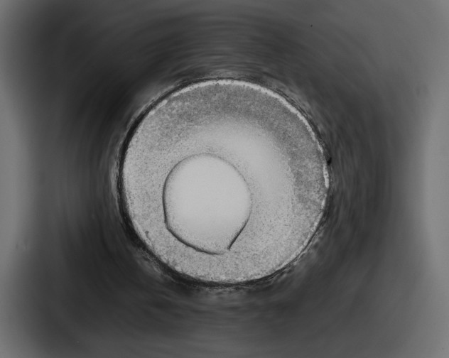 X0000086760146200705111722