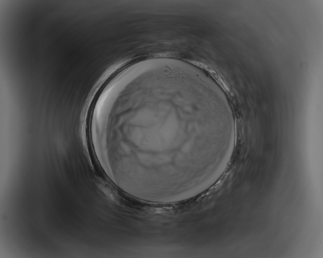 X0000086760147200705111722