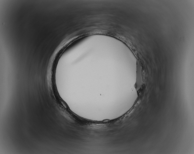 X0000086760150200705111722