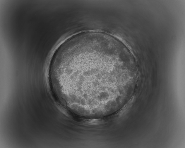 X0000086760151200705111722