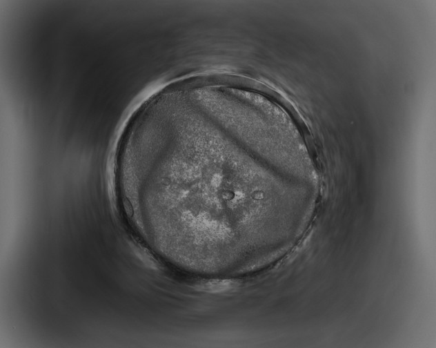 X0000086760152200705111722