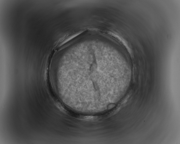 X0000086760153200705111722