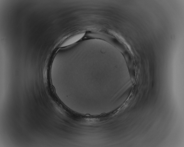 X0000086760154200705111722