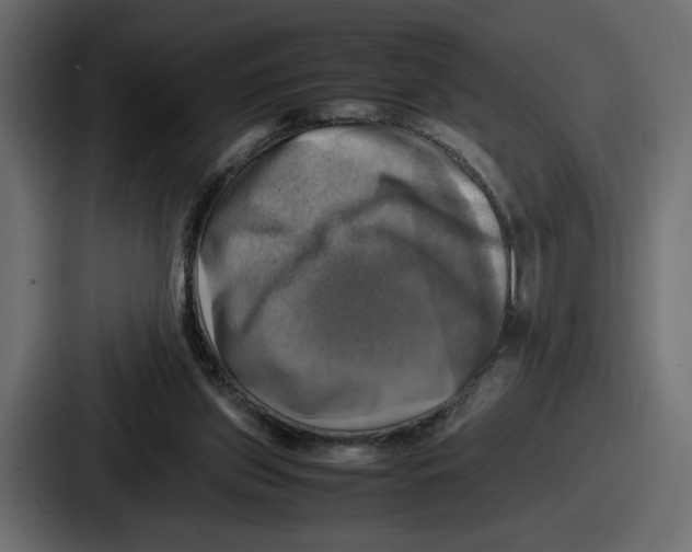X0000086760157200705111722
