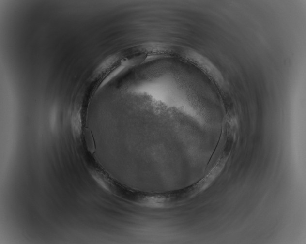 X0000086760158200705111722