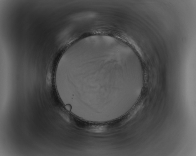 X0000086760161200705111722