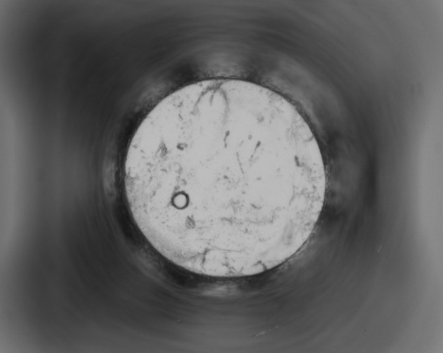 X0000086760162200705111722