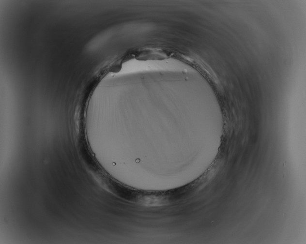 X0000086760163200705111722