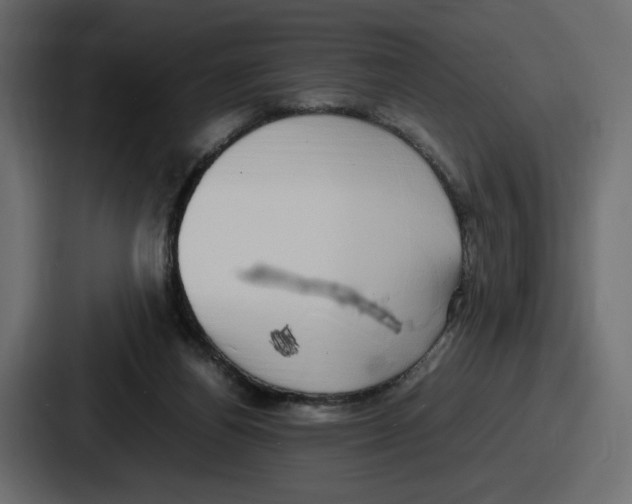 X0000086760164200705111722