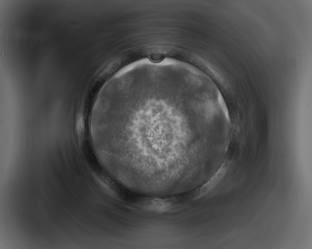 X0000086760166200705111722
