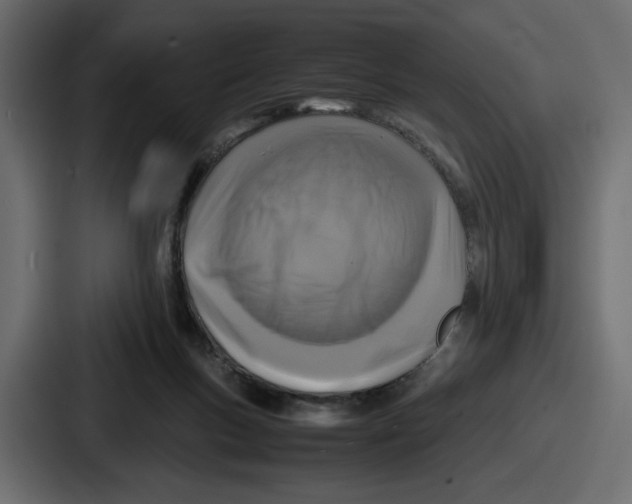 X0000086760167200705111722