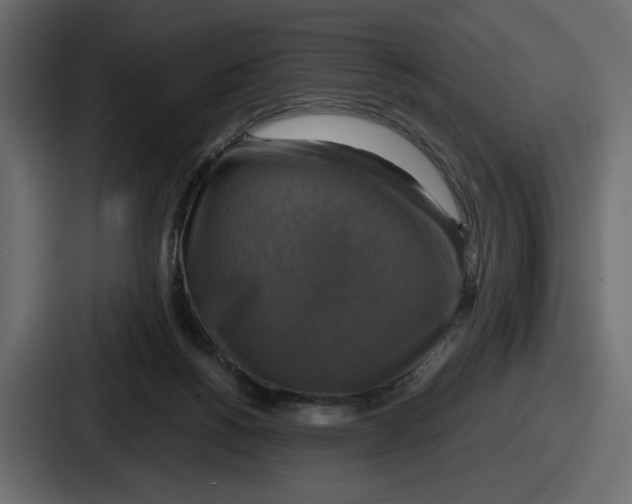 X0000086760168200705111722