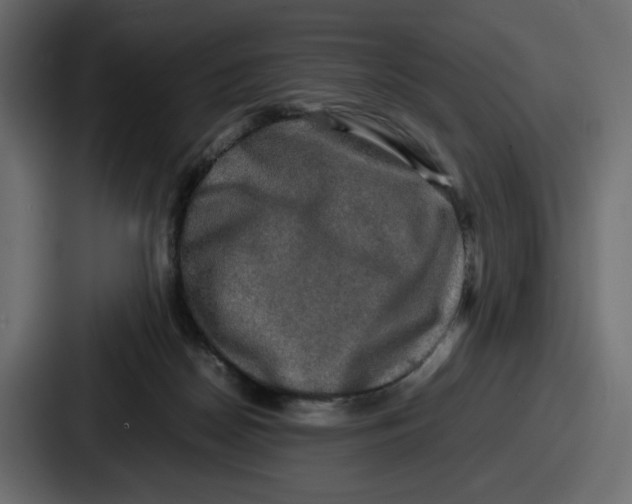 X0000086760170200705111722