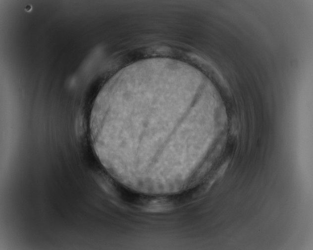 X0000086760173200705111722