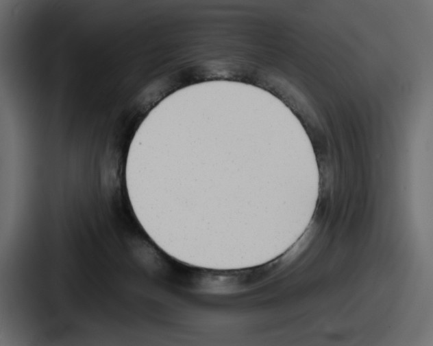 X0000086760174200705111722