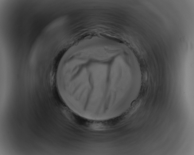 X0000086760177200705111722