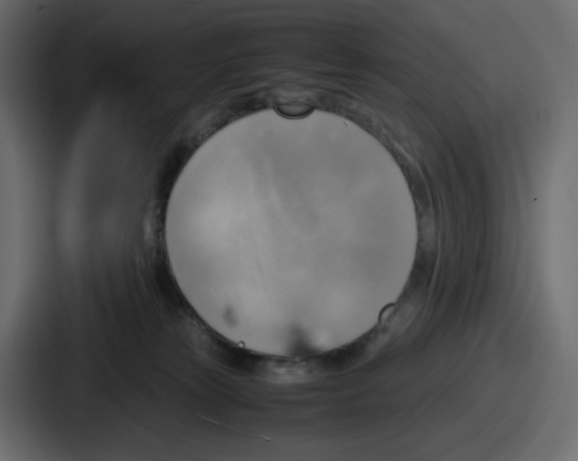 X0000086760181200705111722