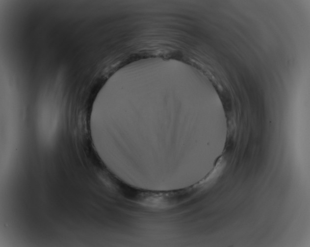X0000086760182200705111722