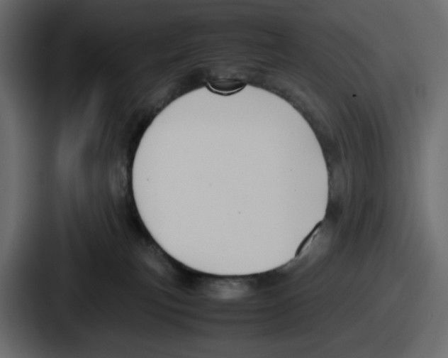 X0000086760183200705111722