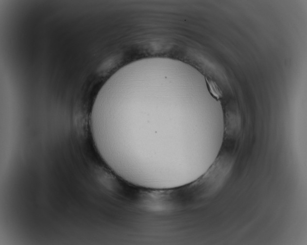 X0000086760184200705111722