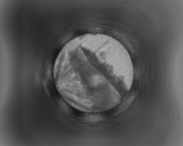 X0000086760185200705111722