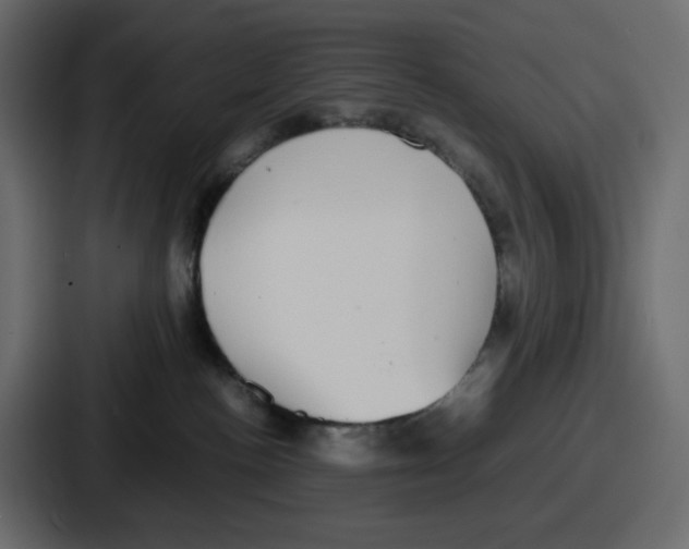 X0000086760188200705111722